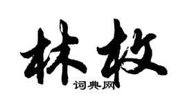 胡问遂林枚行书个性签名怎么写