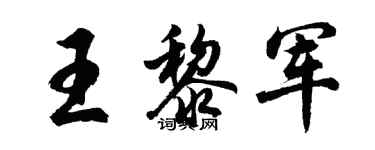 胡问遂王黎军行书个性签名怎么写