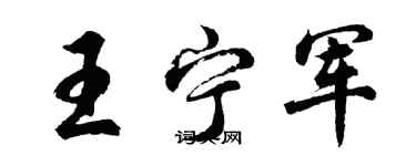 胡问遂王宁军行书个性签名怎么写