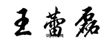 胡问遂王蕾磊行书个性签名怎么写