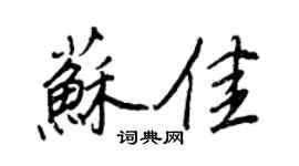 王正良苏佳行书个性签名怎么写
