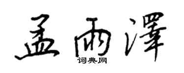 王正良孟雨泽行书个性签名怎么写