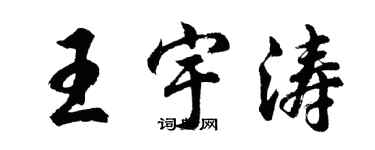 胡问遂王宇涛行书个性签名怎么写
