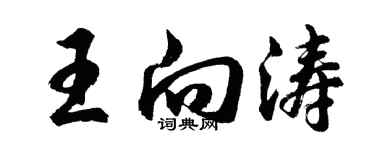 胡问遂王向涛行书个性签名怎么写