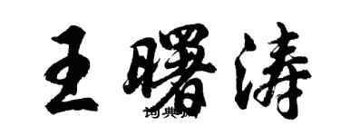 胡问遂王曙涛行书个性签名怎么写