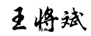 胡问遂王将斌行书个性签名怎么写
