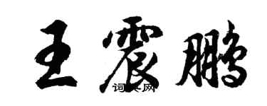 胡问遂王震鹏行书个性签名怎么写
