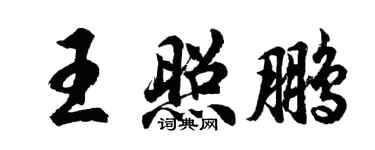 胡问遂王照鹏行书个性签名怎么写