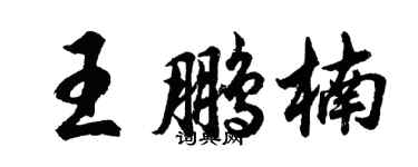胡问遂王鹏楠行书个性签名怎么写