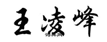 胡问遂王凌峰行书个性签名怎么写