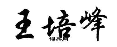 胡问遂王培峰行书个性签名怎么写