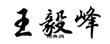 胡问遂王毅峰行书个性签名怎么写