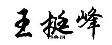 胡问遂王挺峰行书个性签名怎么写