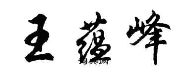 胡问遂王蕴峰行书个性签名怎么写