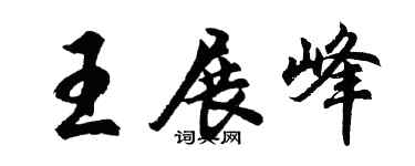 胡问遂王展峰行书个性签名怎么写