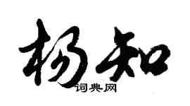 胡问遂杨知行书个性签名怎么写