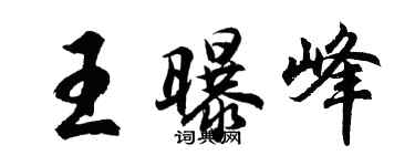 胡问遂王曝峰行书个性签名怎么写