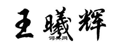 胡问遂王曦辉行书个性签名怎么写