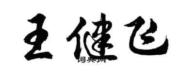 胡问遂王健飞行书个性签名怎么写