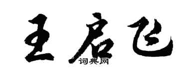 胡问遂王启飞行书个性签名怎么写
