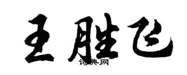 胡问遂王胜飞行书个性签名怎么写