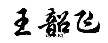 胡问遂王韶飞行书个性签名怎么写