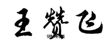 胡问遂王赞飞行书个性签名怎么写