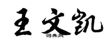 胡问遂王文凯行书个性签名怎么写