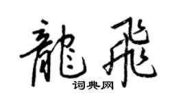 王正良龙飞行书个性签名怎么写