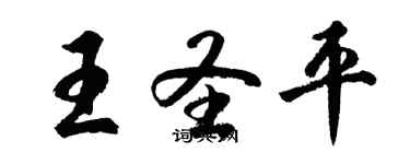 胡问遂王圣平行书个性签名怎么写