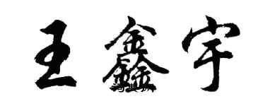 胡问遂王鑫宇行书个性签名怎么写