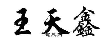 胡问遂王天鑫行书个性签名怎么写