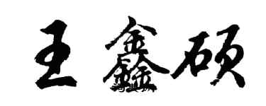 胡问遂王鑫硕行书个性签名怎么写