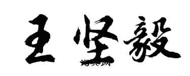 胡问遂王坚毅行书个性签名怎么写
