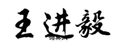 胡问遂王进毅行书个性签名怎么写