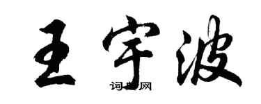 胡问遂王宇波行书个性签名怎么写
