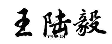 胡问遂王陆毅行书个性签名怎么写