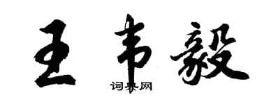 胡问遂王韦毅行书个性签名怎么写