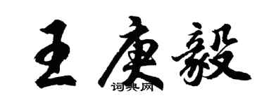 胡问遂王庚毅行书个性签名怎么写