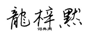 王正良龙梓默行书个性签名怎么写