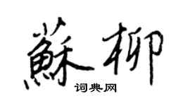 王正良苏柳行书个性签名怎么写