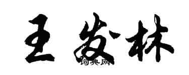 胡问遂王发林行书个性签名怎么写
