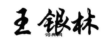 胡问遂王银林行书个性签名怎么写