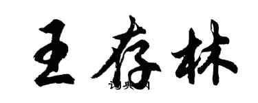 胡问遂王存林行书个性签名怎么写