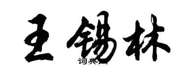 胡问遂王锡林行书个性签名怎么写