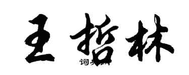 胡问遂王哲林行书个性签名怎么写