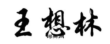 胡问遂王想林行书个性签名怎么写