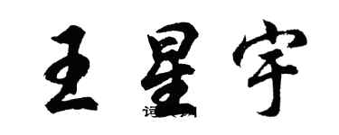 胡问遂王星宇行书个性签名怎么写