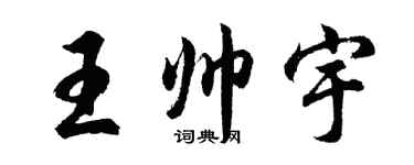 胡问遂王帅宇行书个性签名怎么写