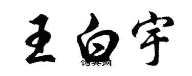 胡问遂王白宇行书个性签名怎么写
